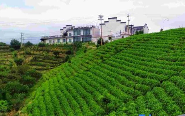 Yuyao Old Shen's Tea House