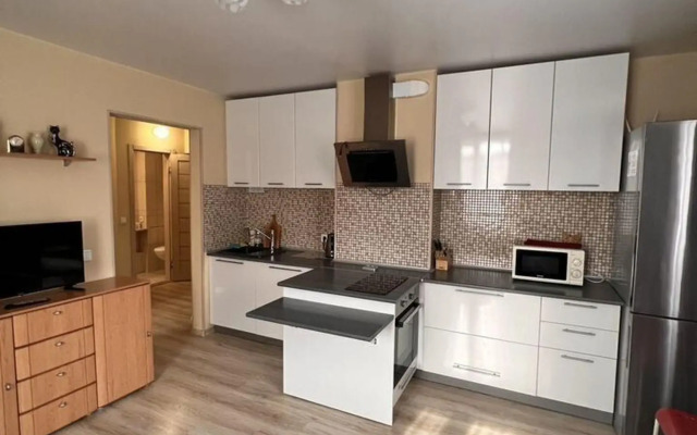 Апартаменты на улице Елизаровых 15/2