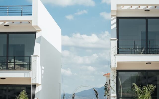 Pearl Island Homes