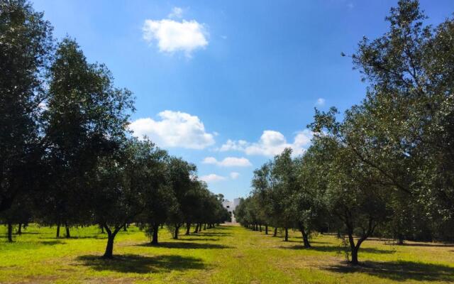 Masseria Bosco Mazza