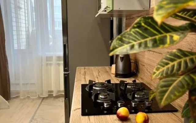 ДейлиРент-НН в микрорайоне Щербинки-1, д. 14, корп. 2