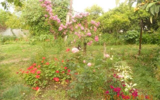Guest house na Myasnikova