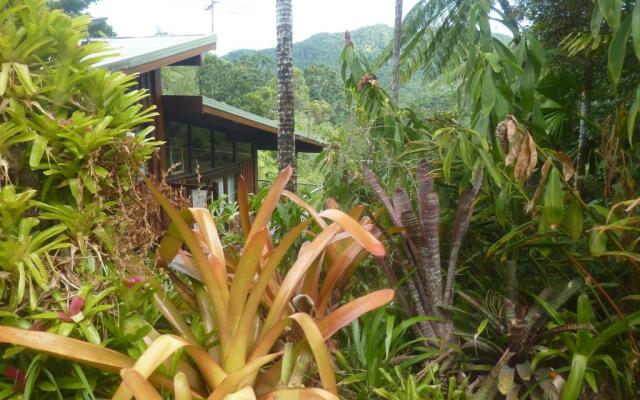 Daintree Holiday Homes - The Folly