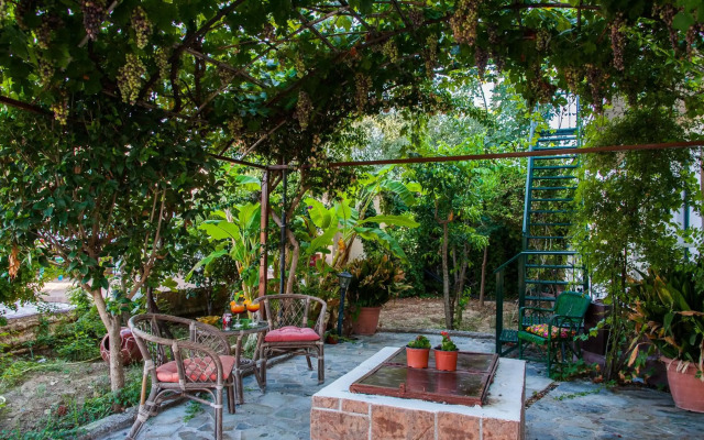 Zante Nest Studios & Apartments