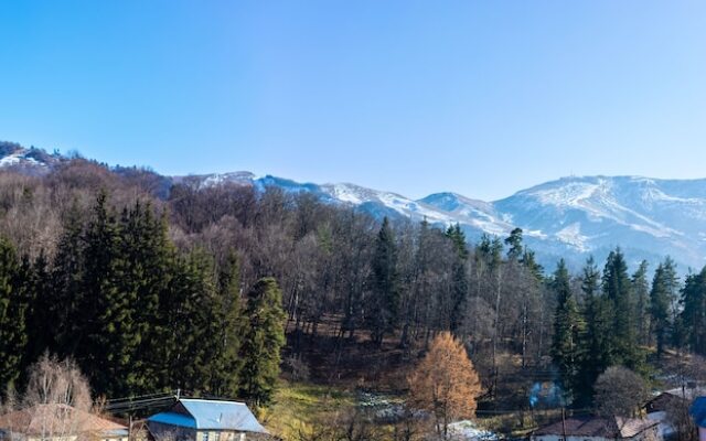 Hilltop Bakuriani