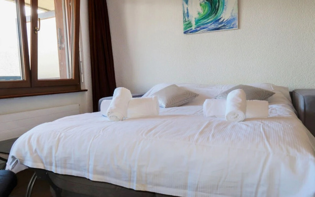 Arnica 16 Haute-nendaz