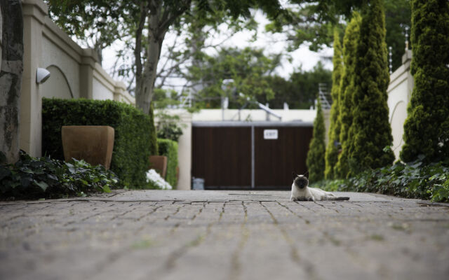 Arum Guest House