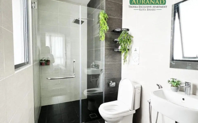 Auranad Troika Level 33