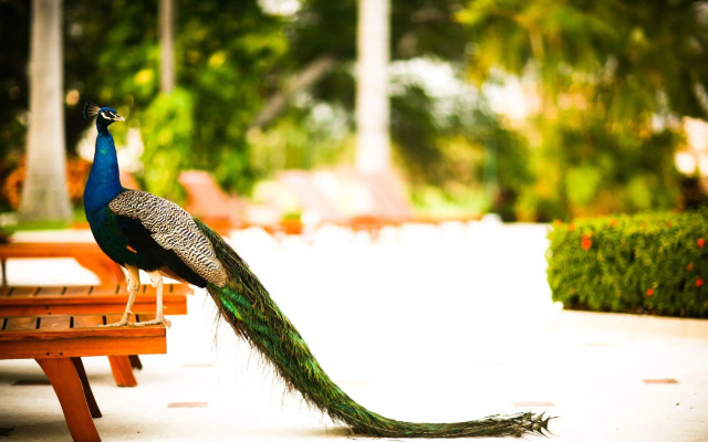 Casa Velas Adults Only All Inclusive