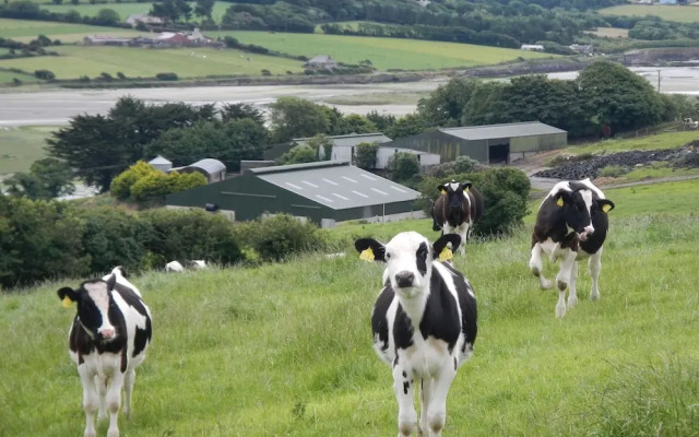 Bridgeview Farmhouse