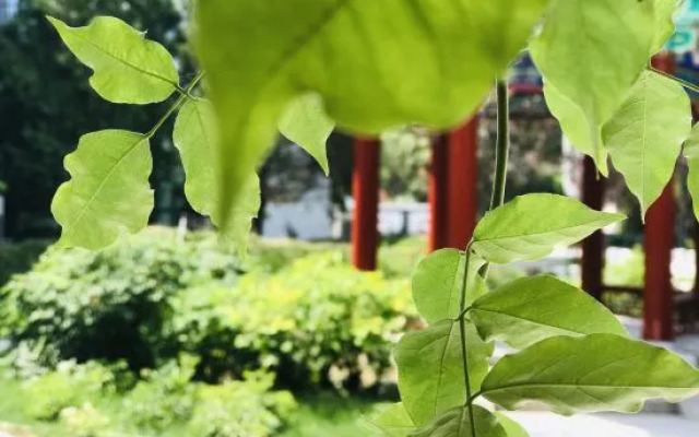 Huyuan Hotel