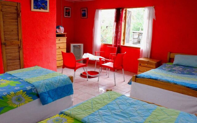 Galapagos Penguin Hostel