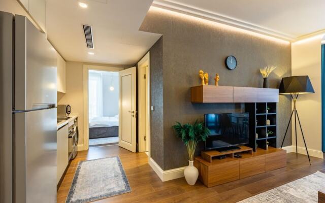 Stylish Flat Near Trendy Attractions in Beyoglu