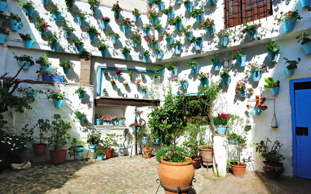 Alojamiento DePatios