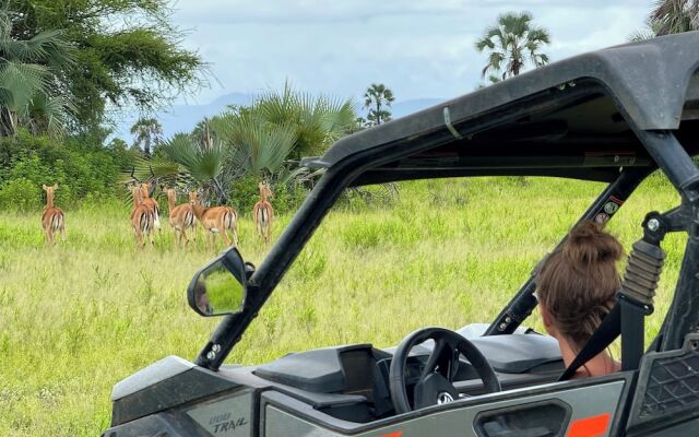 Elephant Lodge