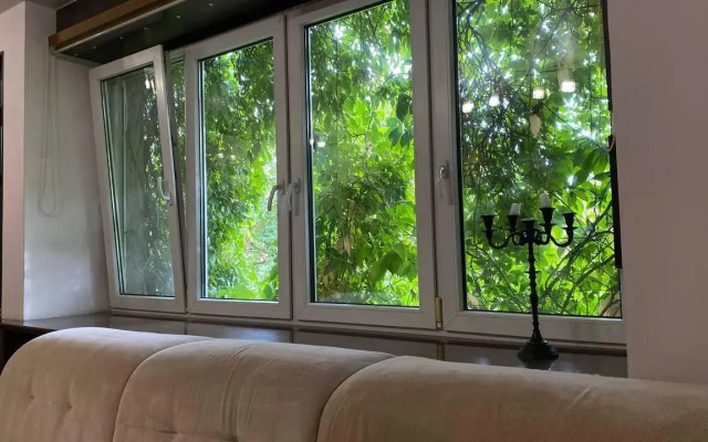 Grape Room Apartment on Mira Avenue 122