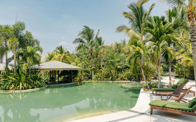 Soul Spring Sanctuary Cuernavaca