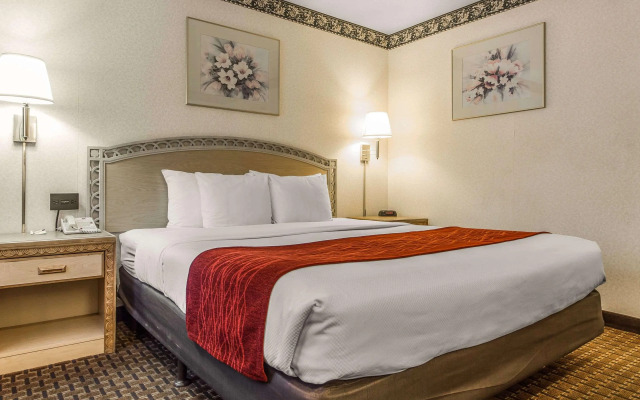 Comfort Inn Palo Alto