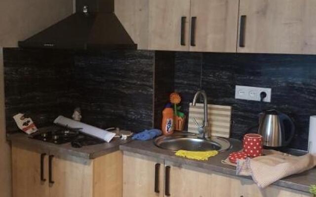 Eka Apartment at Bakuriani Residence