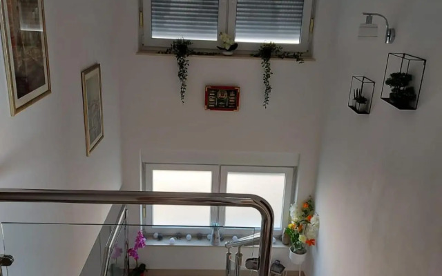 Apartmani GIMI Shine