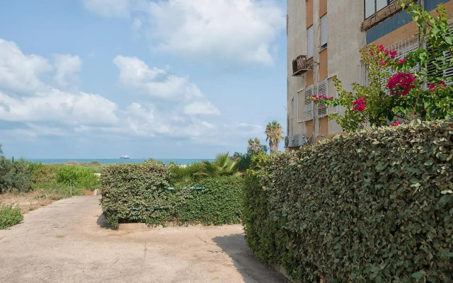 Dream Near the Beach