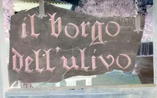 Il Borgo DellUlivo