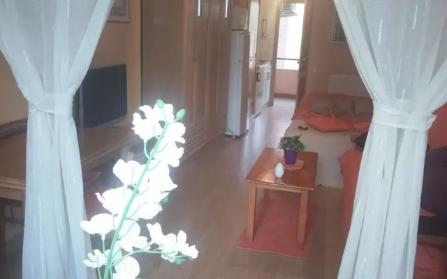 Apartamentos Turísticos Hannibal