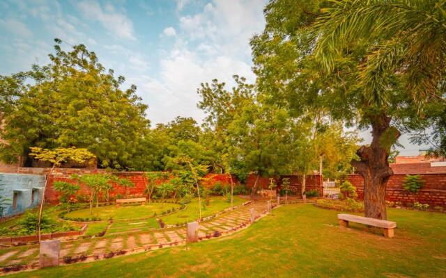 Tree Of Life Bhadrajun House Jodhpur