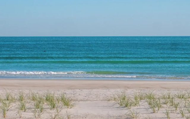 Blue Crab by Topsail Realty