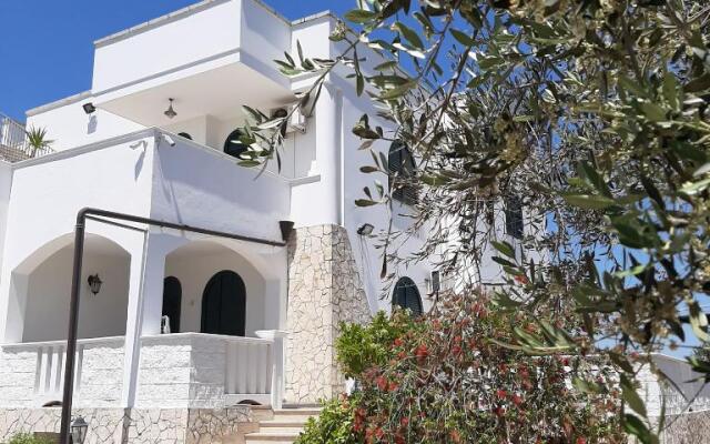 Azienda Agrituristica B&B La Torre