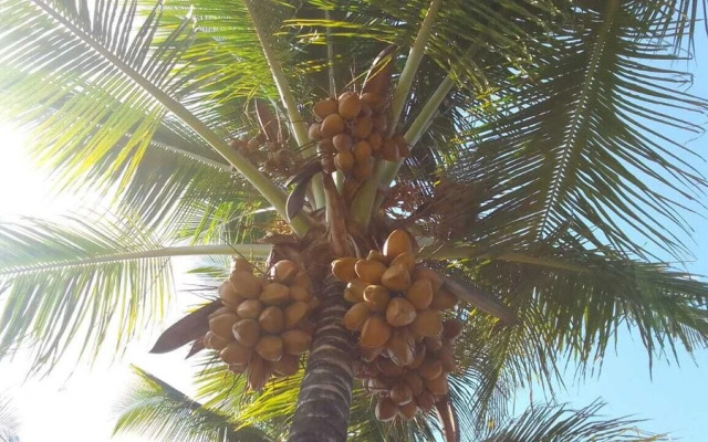 Pousada A Vila do Pirata