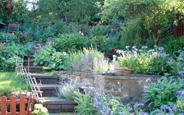 Ellen House Bed and Breakfast