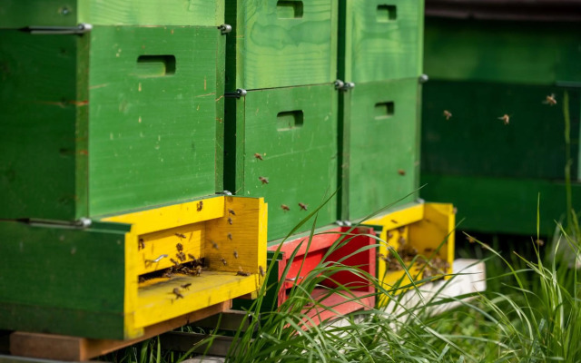 Kammerhof Apartment Apfel