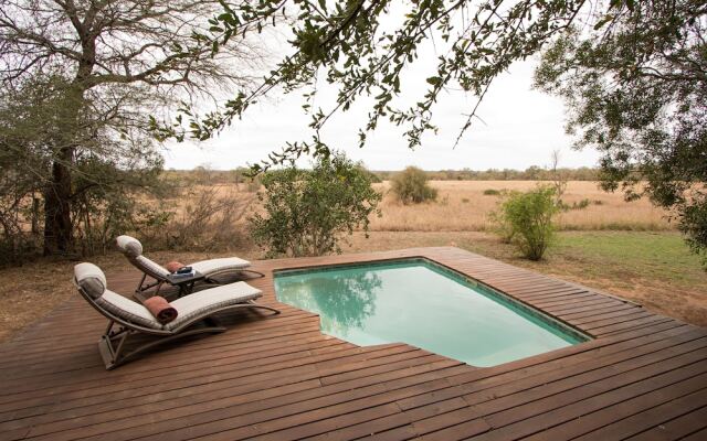 Plains Camp @ Rhino Walking Safaris