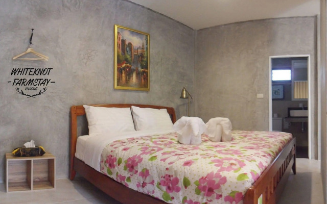 White Knot Khao Yai