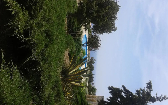 Pegasus Resort