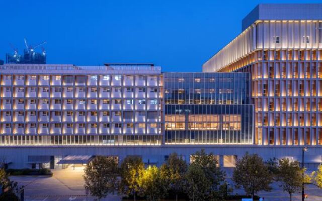 Stargale's Collection