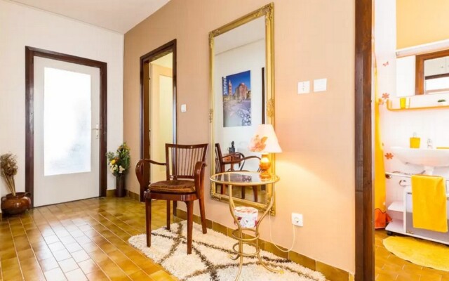 Apartment Palcic