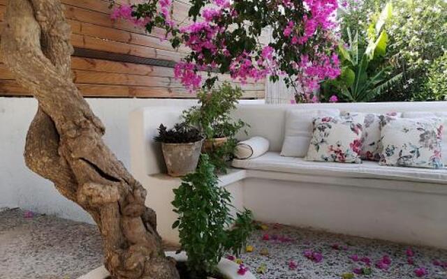 Granny's Olive Mill Villa