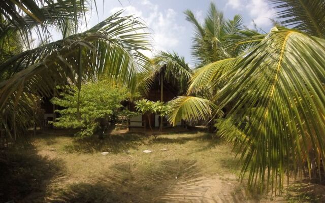 Safasurf Camp - Hostel