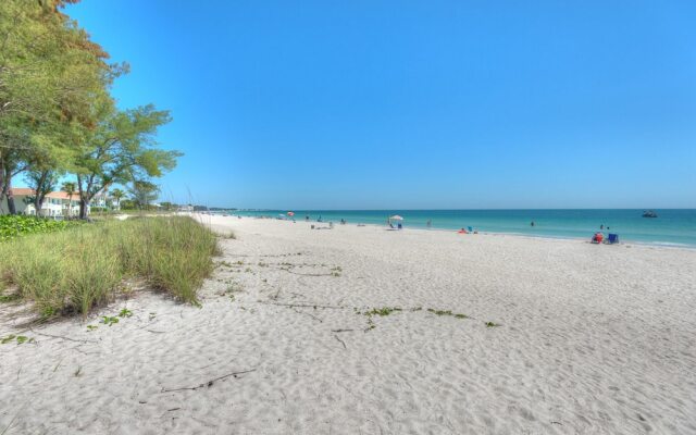 Shell Haven Apartment 1