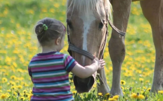 Modern Holiday Home in Brusow With Roofed Terrace