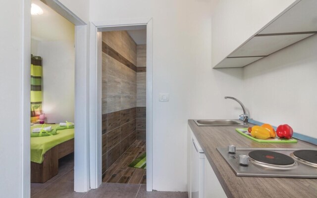 Amazing Home in Novigrad With Wifi and 1 Bedrooms