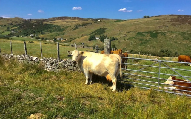 Highland Glen Lodges