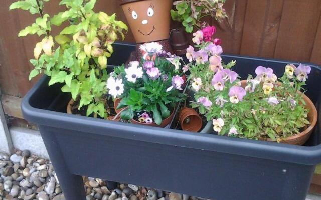 Rosevale Bed & Breakfast
