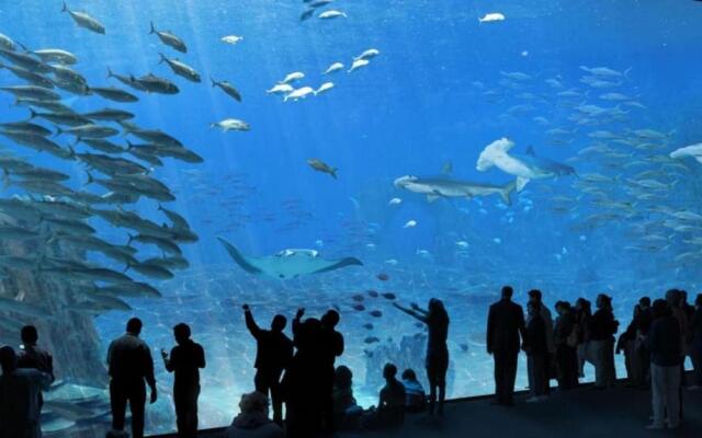 "BELLEVUE" Appartement de charme vue mer face à Nausicaa