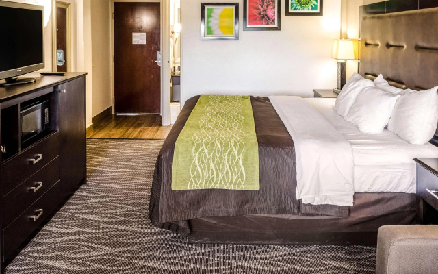 Comfort Inn Downtown Charleston