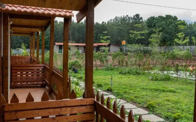 Trippr Chikkamagaluru