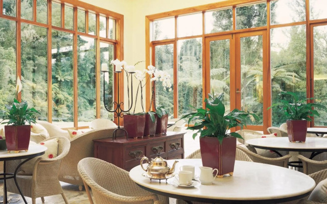 Treetops Lodge & Estate