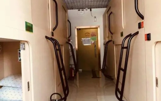 The Olive Tree Capsule Hostel